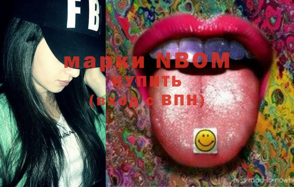 мдпв Гусь-Хрустальный