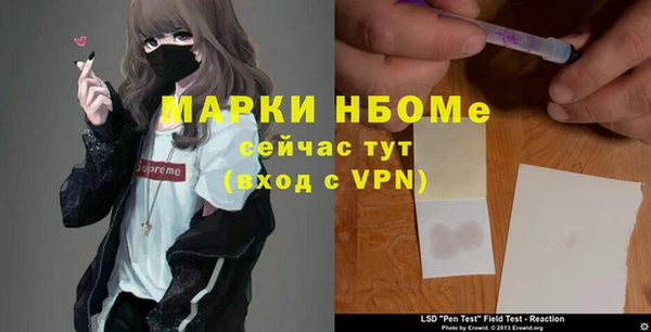 мдпв Гусь-Хрустальный