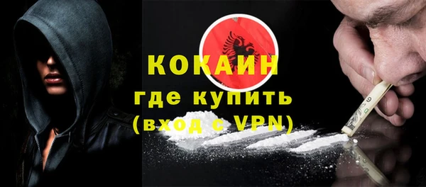 мдпв Гусь-Хрустальный