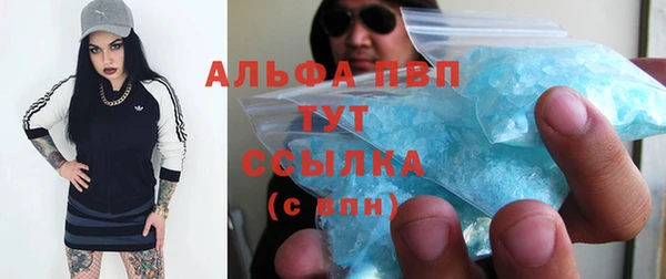 мдпв Гусь-Хрустальный