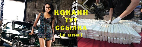 мдпв Гусь-Хрустальный