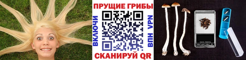 Галлюциногенные грибы Magic Shrooms  Купить закладки  Холмск 
